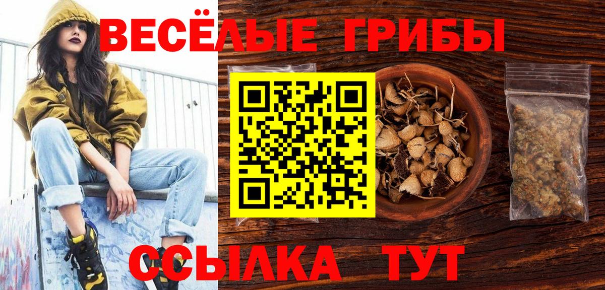 Галлюциногенные грибы Cubensis  Вход с VPN  Псилоцибиновые грибы мухоморы  купить наркотик  Железноводск 